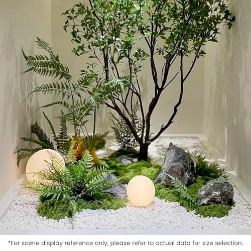 SIDONG 5 LB White River Rocks, 0.3-0.5 Inches Pebbles for Indoor Plants, Aquarium Rocks Used in Fish Tank, Decorative Stones for Plants, Vases, Home Décor, Crafting, Garden Landscaping - color: White, size: 5 Pounds