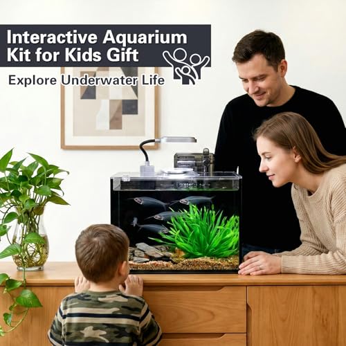 2 Gallon Small Aquarium Set Glass Fish Tank,Desktop Small Aquarium Kit for Beginners and Children to Keep Betta Fish, Goldfish, Shrimp, and Aquatic Plants (Black, 2 Gallon (Complete Kit) ﻿) - size: 2 Gallon (Complete Kit) ﻿