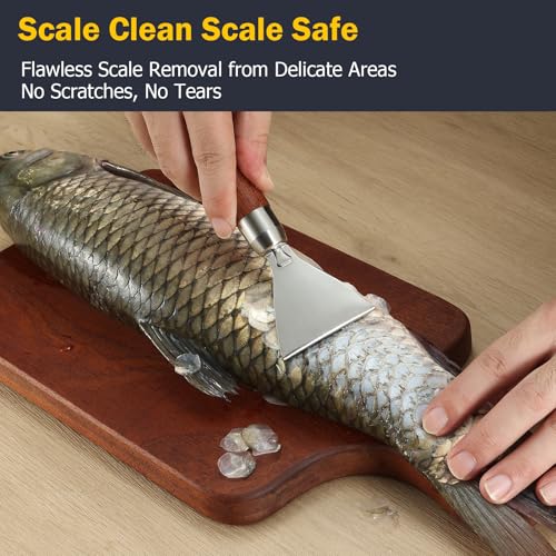 Fish Scaler Stainless Stee Fish Scale Remover Fish Descaler Fish Cleaner Fish Scraper Tool