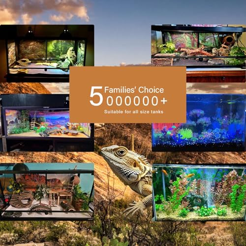 Rainforest Aquarium Background Tropical Palm Leaves Fish Tank Background Jungle Style Floral Pattern Landscape Reptile Tank Backgrouds Foggy Misty Green Leaves Reptile Enclosure Backgrounds 24x12in - color: Brown Green, size: 24(W)x12(H)inches/ 60(W)*30cm