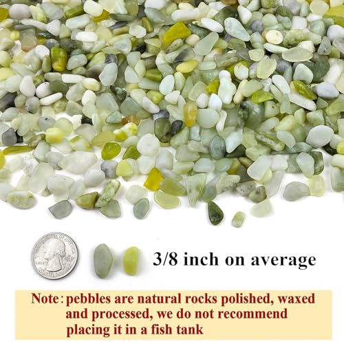 FANTIAN 2 lbs Jade Rocks for Plants Indoor, 3/8 inch Small Pebbles for Indoor Plants, Decorative Rocks for Succulents Cactus Bamboo Vases Landscaping Drainage and Outdoor Garden Rocks - color: Jade Gravel