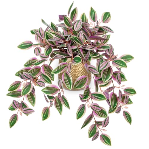 Briful Faux Plants Indoor 17.7in Fake Watermelon Peperomia Plant in Gold Pot with Realistic Silk Pink Leaves Artificial Potted Plant for Home Office Table Shelf Desk Modern Room Decor - color: White Pink-gold Pot
