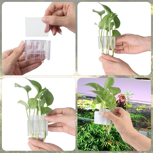 2 Pack Hanging Aquarium Plant Holder – 3 Holes Aquatic Plant Cups, Fish Tank Holder for Aquatic Plants, Ideal for Aquarium Tank Decoration(Transparent) - color: Transparent,2 Pcs