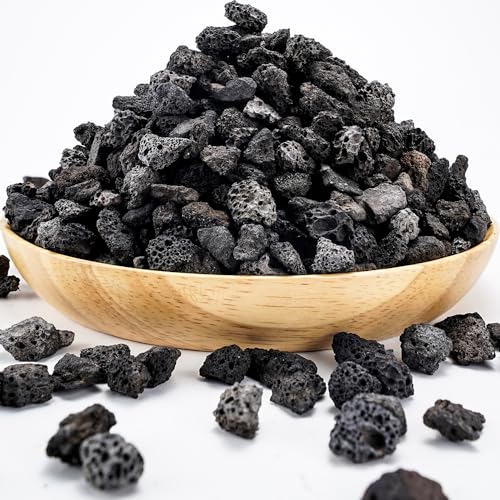 TOYPOPOR 6lb Black Lava Rock for Plants, Natural Horticultural Volcanic Grit, Cactus Succulents Bonsai Stones, Crushed Potting Gravel for Drainage Planter, Terrarium Decor, Gardening Soil Additive - color: Black Horticultural Lava Rock, size: 6 lb