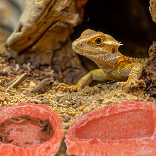 Reptile Water Dish Food Bowl for Bearded Dragon Tank Accessories, Hyggerzoo Reptile Rock Feeder for Tank 2 Pack Corner Resin Terrarium Bowl for Leopard Gecko Hermit Crab Tortoise Snake, Orange - color: Orange