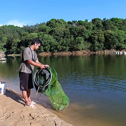 Collapsible Fish Keeping Net - Rubberized Mesh Fishing Basket - Foldable Fish Live Well for Dock & Kayak - Keep Bait and Fish Alive