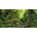 AWERT Tropical Forest Terrarium Background Stream Green Huge Tree Reptile Habitat Background Foggy Rainforest Aquarium Background 24x16 inches Durable Polyester Background - size: 24 x 16 inches