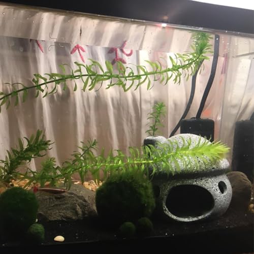 Cute Mushroom Aquarium Decorations, Ceramic Fish House Decor, Small Pleco Shelter Caves, Betta Fish Tank Accessories, Mushroom Shape Shrimp Fish Tank Decorations Stone Color - Grey - color: Grey