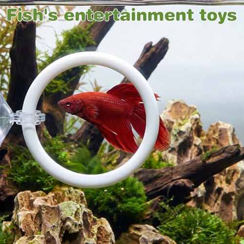 Molain Betta Fish Enrichment Toys, Betta Fish Tank Accessories 2 Training Rings 1 Mirror with Floating Ball Plastic Aquarium Enrichment Toys Set for Fishes Exercise Mental Stimulation