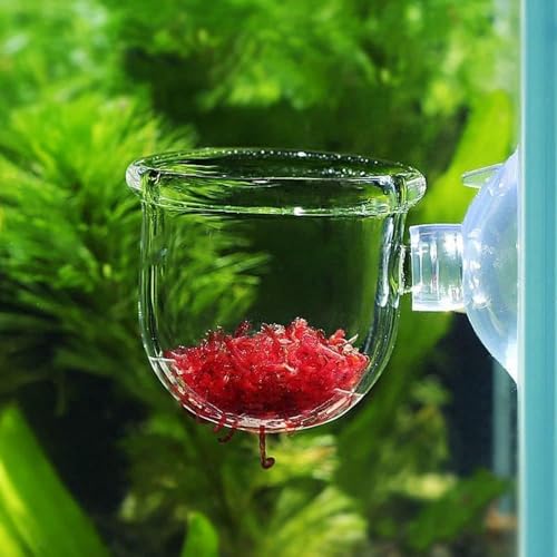 2Pcs Transparent Acrylic Aquatic Plant Cups with Suction - Aquarium Decoration 2 Shapes for Fish Tank Ornament