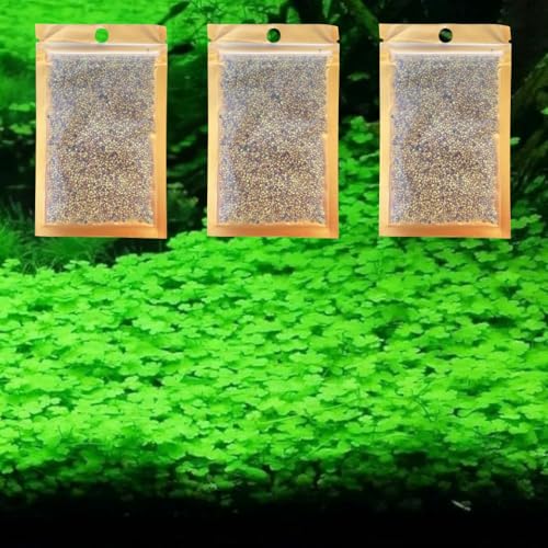 3 Pack Freshwater Aquarium Decor, Easy Growing Dwarf Carpet for Fish Tank/Terrarium, Natural Aquatic Plant Growth Material (Lucky Grass) - color: Lucky Grass