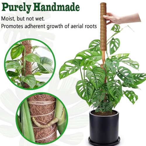 2 Pack 17 Inch Moss Pole, Stackable Moss Poles for Climbing Plants Monstera, Tall Plant Sticks Accessories, Large Coir Plant Support Stakes for Potted Plants Indoor, Pothos, Philodendron - size: 2 pack 17in