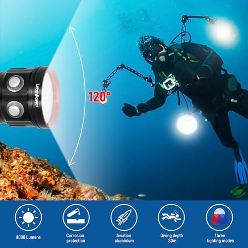 B15 Dive Light Underwater Flashlight 8000Lumens Underwater Video Lights 80m Scuba Dive Light Diving Flashlight for Under Water Sports,Underwater Video Shooting and Photography - color: Sealion B15