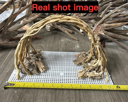 AWXZOM Aquarium Driftwood Centerpiece Aquarium Landscape, Handcrafted!!! Fish Tank hardscape Landscape (Small Silent Cave)