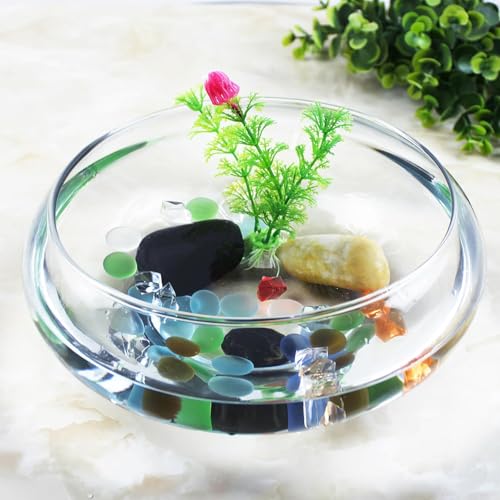 Transparent Aquarium Tank 0.74 Gallon Desktop Betta Fish Bowl for Home Office Decor Clear Acrylic Shallow Fish Tank for Plants and Aquatic Pets