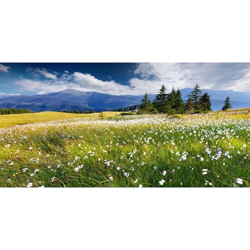 AWERT 72x16 inches Reptile Habitat Background Blue Sky White Clouds Mountains Forests Grasslands White Floral Nature Art Terrarium Background - size: 72x16in/180x40cm