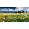 AWERT 24x12 inches Reptile Habitat Background Blue Sky White Clouds Mountains Forests Grasslands White Floral Nature Art Terrarium Background - size: 24x12in/60x30cm
