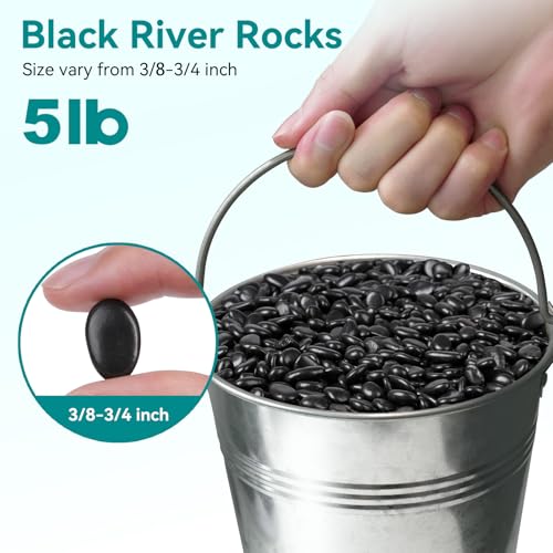 5 lbs Black Pebbles for Indoor Plants, 3/8" Small Rocks for Plants Indoor, Succulent, Bamboo, Vase, Decorative Black River Rocks Pea Gravel, Highly Polished - color: Black