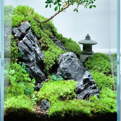 Natural Rocks Seiryu Stone 1-2.5 Inches Decorative Stones for Fairy Gardens,Miniature Landscaping,Bonsai,DIY Crafts, Aquariums & Reptile Terrariums-1lb - size: 1lb(1-2.5Inch)