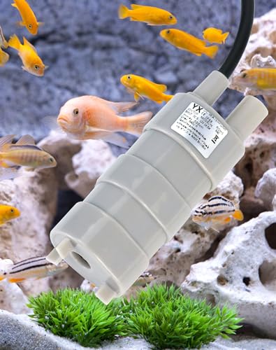 QWORK 12V Submersible Water Pump, 2 Pack 6-15V DC Mini Transfer Pump 600L/H, 5M Head, 1.5m Cable, 12mm Outlet OD for Fish Tank, Water Change, Drainage, Watering