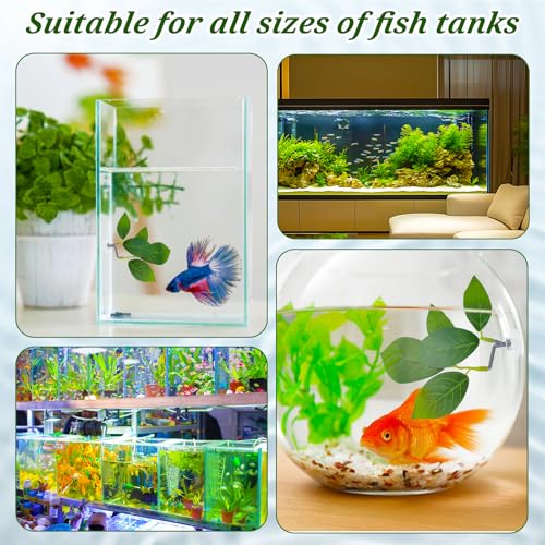 3 Pcs Betta Fish Leaf Pad, Betta Leaf Hammock Fish Tank Decorations Aquarium Decor Simulating The Natural Habitat for Sleeping Resting Hiding Playing Breeding with Plastic Suction Cup