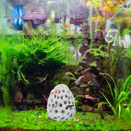 Shrimp Dome Hide Betta Habitat Fish Tank Tunnel with Suction Cup Aquarium Fish Cave Hideout Ornament Accessories for Shrimp Guppy Hiding Resting White - color: White