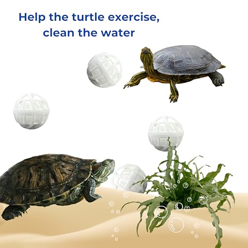 Square Turtle Feeding Ring with Suction Cup and 4 Pcs Nitrifying Balls Set, Fish Food Holder and Aquatic Toys for Turtles Tortoise Goldfish Guppy Koi Puffer, Aquatic Turtle Tank Accessories (Square)