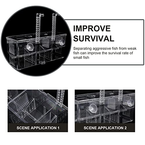 POPETPOP Fish Breeding Isolation Box Aquarium Incubator for Fry Prevents Easy Installation Cups Secure Nursery for Fish for Betta and Guppy Breeding