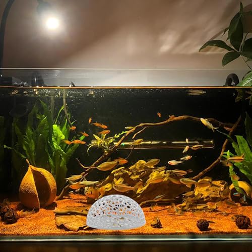 2 PCS Shrimp Dome Hide, Aquarium Shrimp Cave Hideout, Shrimps Hides, Tunnel Cave for Aquarium Small Fish Habitat Rest