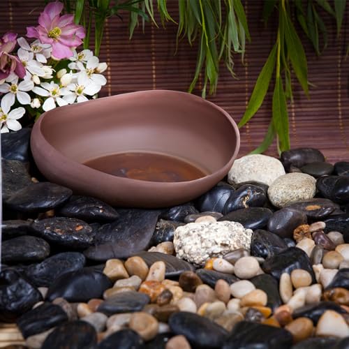 5lbs Black Pebbles for Indoor Plants, 1-2Inch Natural River Rocks for Aquarium, High Polished Decorative Stones for Vase Filler Fish Tank Landscaping Garden - color: Black, size: 5 Pounds