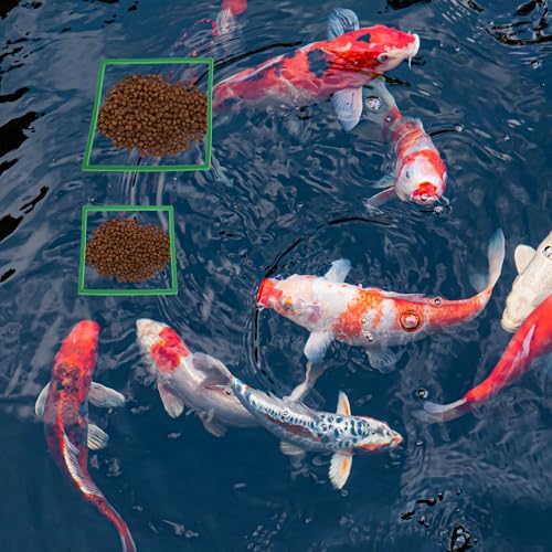 Fish Feeding Ring - Floating Plant Corral Set for Aquarium Accessories, 5pcs, Green - color: Green