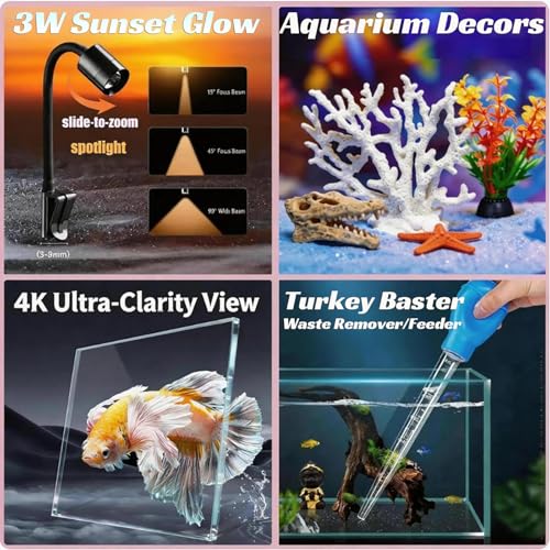 Small Fish Tank Kit,Nano Ultra-Clear Glass Rimless Black Desktop Fish Tank with Light Cleaning Tool & Décors,Small Fish Aquarium for Betta,Shrimp,Small Fish (2Gal Fish Tank Starter Kit)