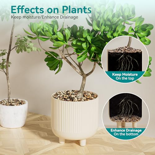 5 lbs Pebbles for Indoor Plants, Vase, Succulent, 3/8" Gravel for Plants, Pots Indoor, Bamboo Rocks for Bamboo Plants, Decorative Small River Rock, Highly Polished - color: Mixed Color