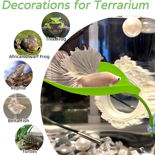 7PCS Betta Fish Hammock, Large Betta Bed Leaf -Resting Spot Leaves,Fish Colourful Breeding pad Toys Set Fish Tank Mushroom Decorations Aquarium Ornament accessorie