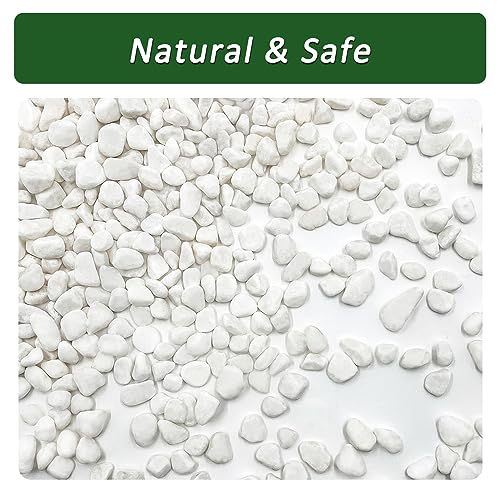 BXI 2.2 Lbs Small Aquarium Substrate Gravel Sand, Polished Smooth Fish Tank Gravel, Colorfast Uncoated White Natural Pebbles, Decorative Stones for Vase Fillers, Fairy Garden, Potted Plants - color: White Pebble, size: 2.2 lbs, 0.24''-0.40''(Medium)