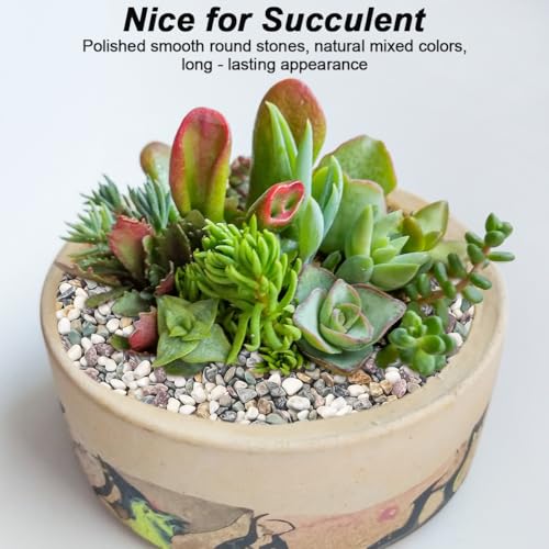 River Rocks,Landscaping Pebbles,Decorative Ornamental Pebbles,Garden Landscaping Stones,Gravel Filler for Home Decoration Flower Bed Fish Tank Plants Vases Succulents (Natural, 5 Pounds) - color: Natural, size: 5 Pounds