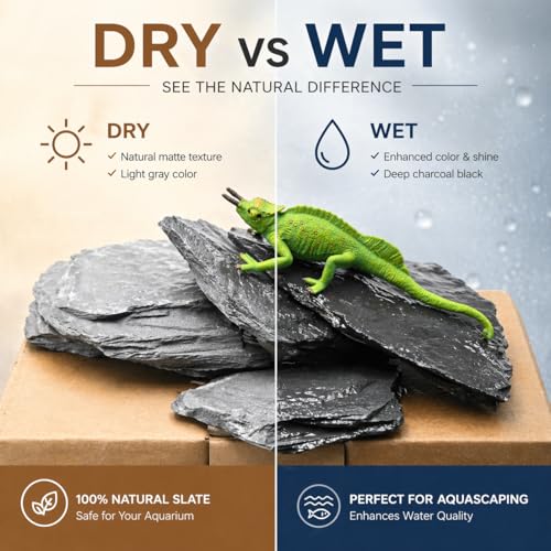 Aquarium Rock Natural Slate Rocks 2 to 6 inch Aquariums Stone for Aquascaping,Terrariums,Reptile Enclosures,Paludariums, and Gardens-10lb - size: 10lb(2-7'')