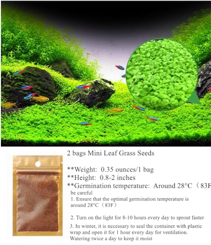 2 Pack Aquarium Plants for Fish Tank, Easy Growing, Real Carpet Decor for Fish Tank/Terrarium