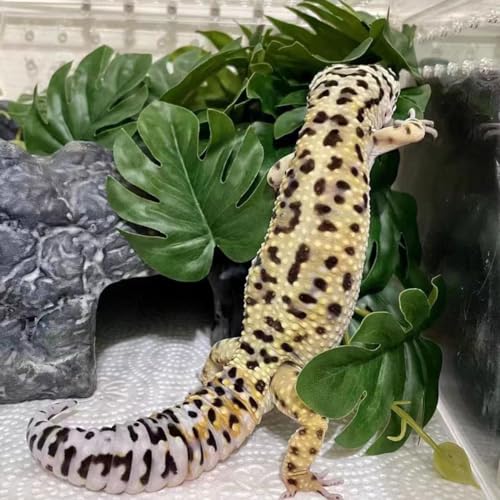 Reptile Plants for Terrarium Decor,Amphibian Habitat Decor,Artificial Plants for Gecko Chameleon Snake Tortoise Tank Accessories with Base (Monstera deliciosa) - color: Monstera Deliciosa