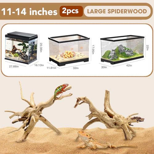 Jorewood Natural Large Spiderwood Driftwood for Aquarium Decor Rptile Fish Tank Decoration Assort Branch 11-14'' 2 Pcs - size: Spiderwood 11 to 14 Inch (Pack of 2)