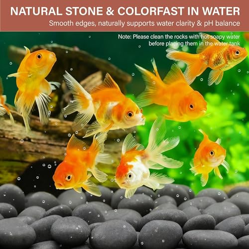 NUPICK 30lb Mexican Beach Pebbles, 2-3" Black River Rocks for Landscaping, Smooth Garden Rocks for Outdoor Paving, Natural Black Pebbles for Plants, Decorative Stones for Planters, Fish Tank, Fountain - color: Gray, size: 2-3", 30lb