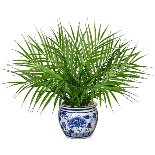 Hollyone Large Artificial Potted Plants Fake Palm Plants 16" Faux Green Plant Plastic Tropical Palm Tree in Blue and White Porcelain Ceramic Pots for Home Room Office House Indoor Decoration - color: 16" Palm Potted-10
