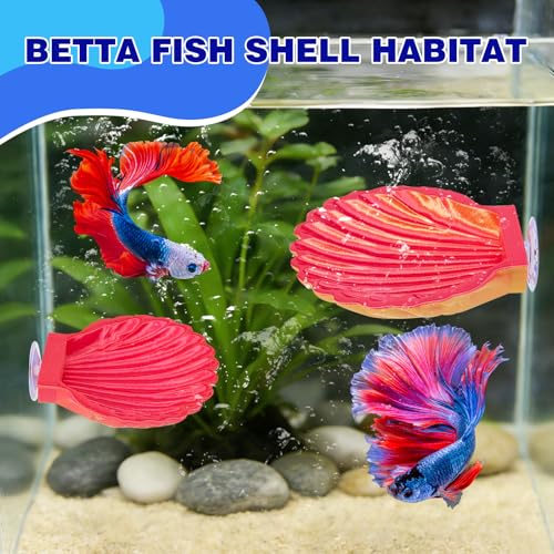 2pcs Betta Fish Shell Hammock, Large Aquarium Hammock Shell with Suction Cup, Shells Betta Resting Spot, Aquarium Decorations Accessories (Gold Red) - color: Gold Red Gradient