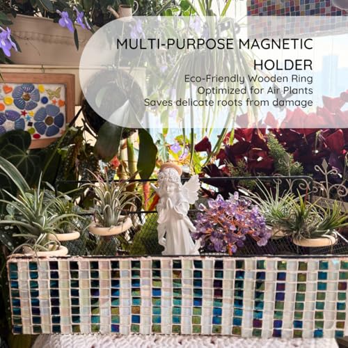 15-Pack Magnetic Air Plant Holders, Breathable Wire Tillandsia Hangers for Fridge & Metal Wall, Modern Miniature Plant Display Rings for DIY Fairy Gardens and Home Decor (1.2 Inch) - size: 1.2 Inch