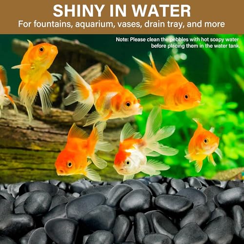 6lb Black River Rocks for Plants Indoor, 2-3Inch Pebbles for Vases Fillers, Decorative Gravel for Fish Tank, Natural Polished Stones for Succulent, Bonsai, Landscaping, Bird Baths - color: Black, size: 2-3"-6lb