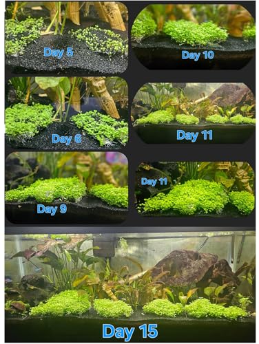 Aquarium P.l.a.n.t for Fish Tank Not Plastic Artificial P.l.a.n.t , 2 Pack , 0.7 Ounces