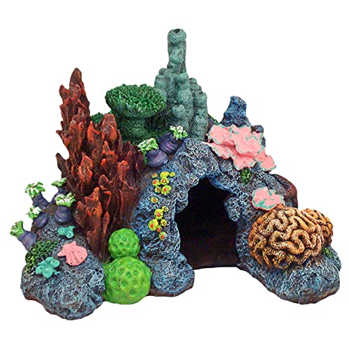 Exotic Environments Caribbean Living Reef Aquarium Ornament, Large, 12-Inch by 8-1/2-Inch by 9-Inch - size: Large, 12-Inch by 8-1/2-Inch by 9-Inch