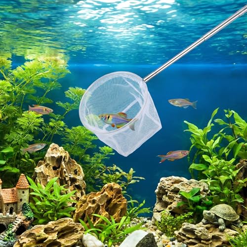 Tyqour Fish Tank Net Small Extendable Aquarium Net with Long Handle Aquarium Fish Net, Surface Skimmer Aquarium Minnow Net for Fish Shrimp Tank, Small Ponds, Creek