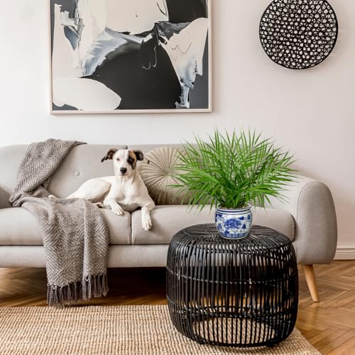 Hollyone Large Artificial Potted Plants Fake Palm Plants 16" Faux Green Plant Plastic Tropical Palm Tree in Blue and White Porcelain Ceramic Pots for Home Room Office House Indoor Decoration - color: 16" Palm Potted-10