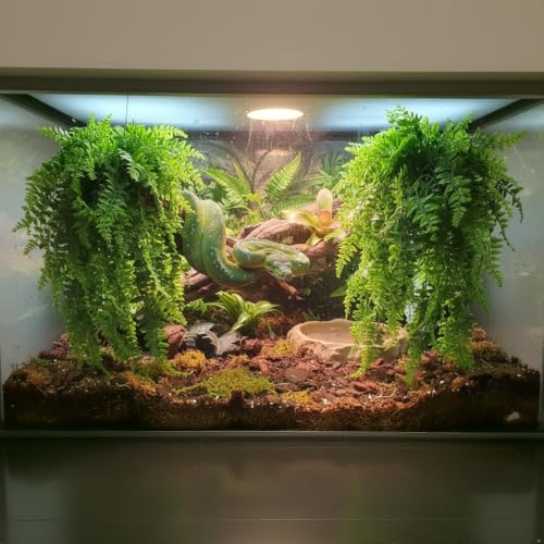 PINVNBY Reptile Plants Hanging Fake Vines Boston Climbing Terrarium Plant with Suction Cup for Bearded Dragons Lizards Crested Gecko Snake Hermit Crab and Tank Habitat Decorations (2 Pack) - size: 2 PCS